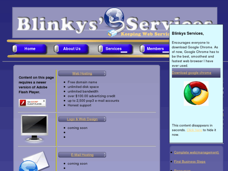 www.blinkysservices.com