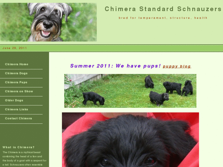 www.chimeradog.com