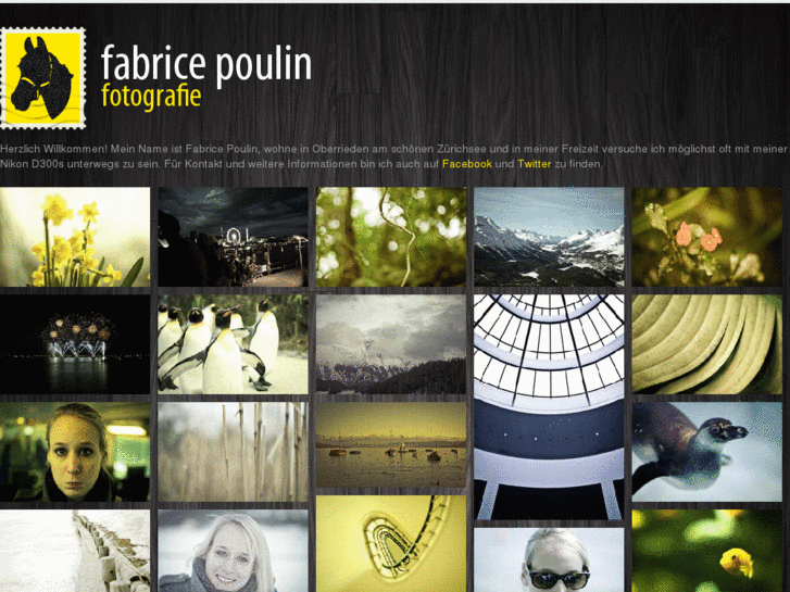 www.poulin.ch