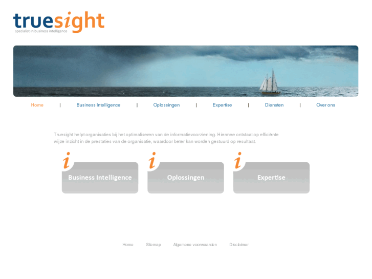 www.truesight-bi.com