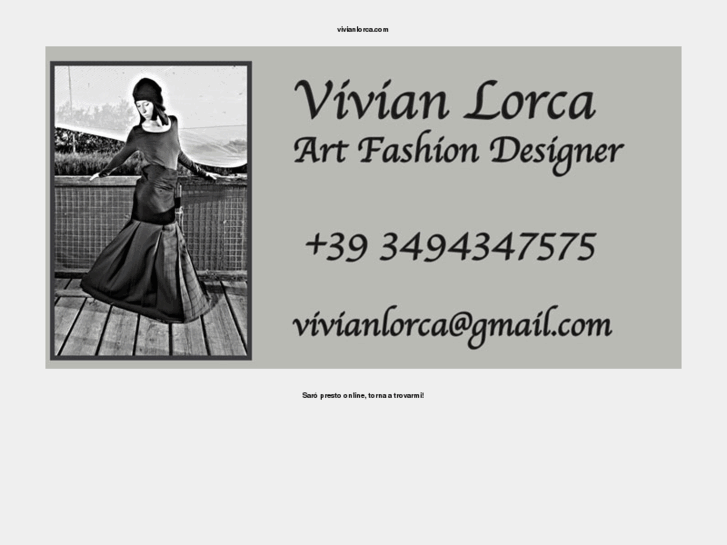 www.vivianlorca.com