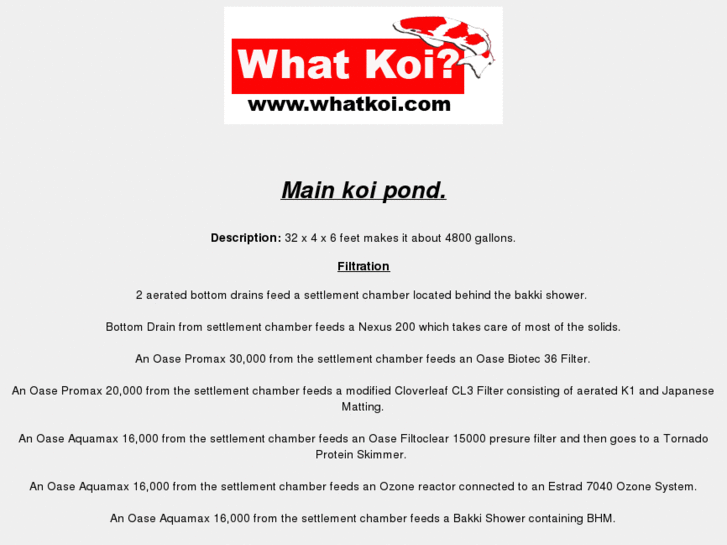 www.whatkoi.com