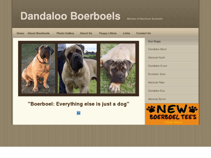 www.dandalooboerboels.com.au