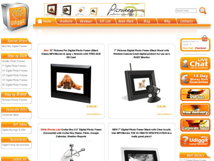 www.digital-pictureframe.net