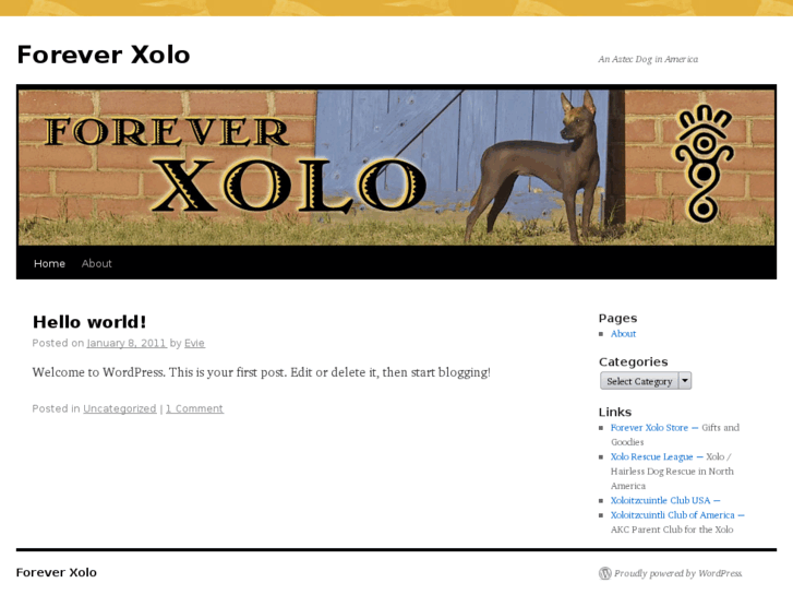 www.foreverxolo.com