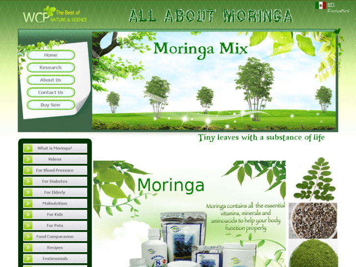 www.moringamix.com