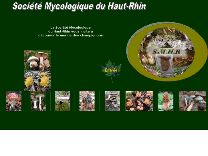 www.myco-haut-rhin.com