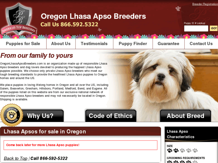 www.oregonlhasaapsobreeders.com