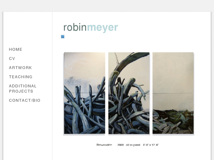 www.robinmeyer.net