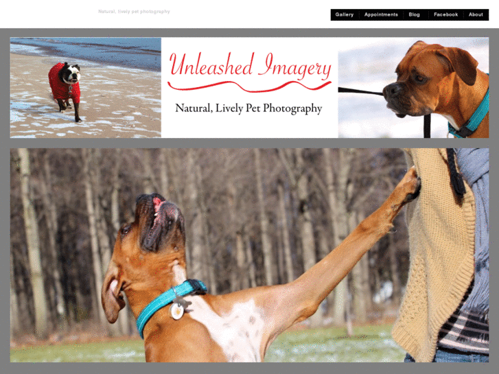 www.unleashedimagery.com