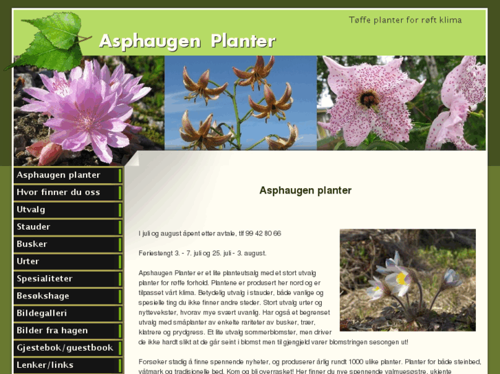 www.asphaugen.com