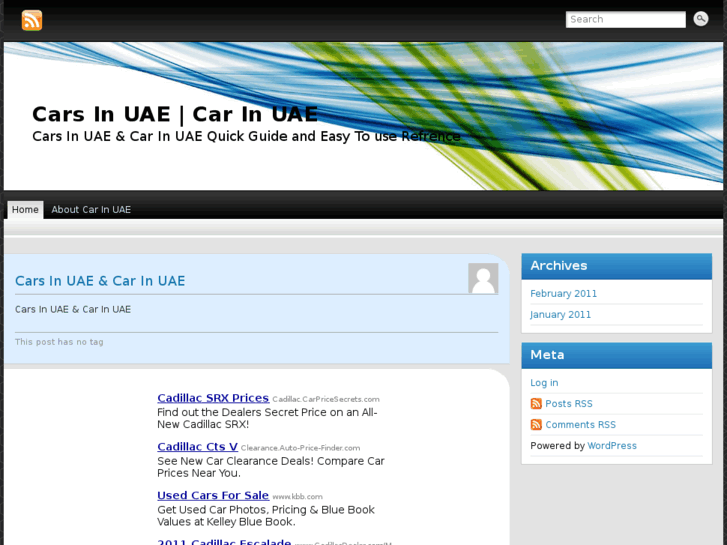 www.carinuae.com