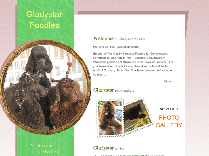 www.gladystarpoodles.com