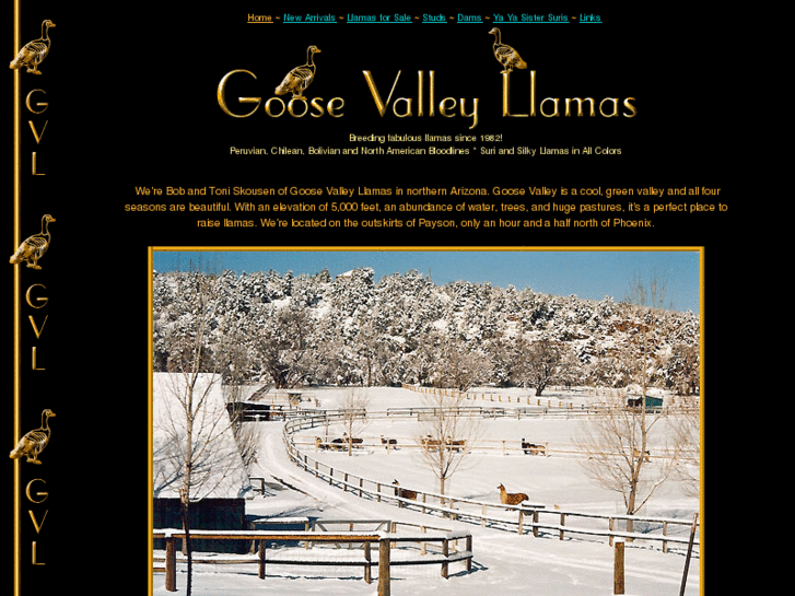 www.goosevalleyllamas.com