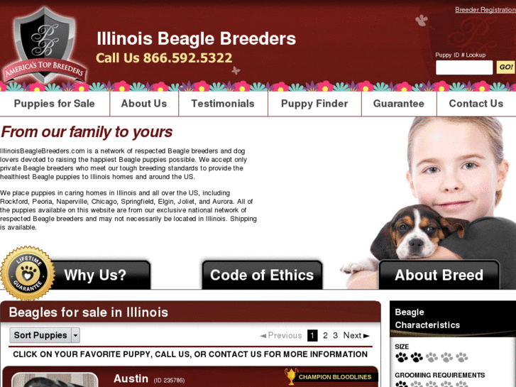 www.illinoisbeaglebreeders.com