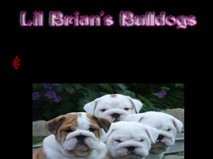 www.lilbriansbulldogs.com