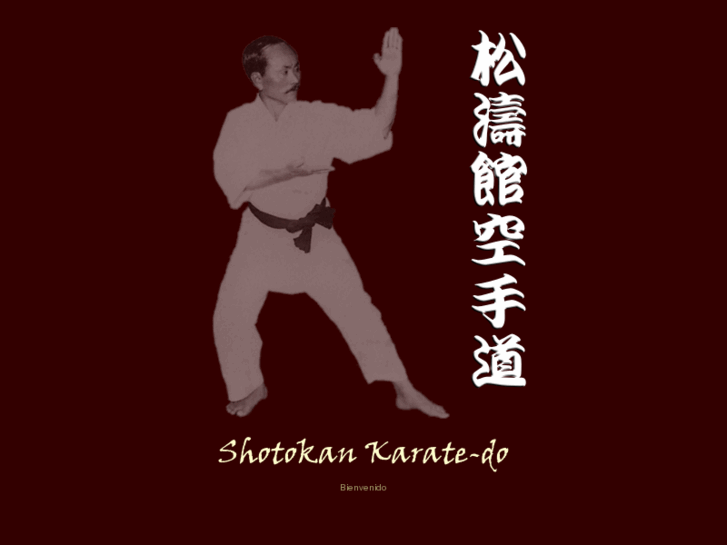 www.shotokankaratedo.es