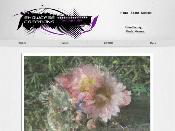 www.showcase-creationspreviews2.com