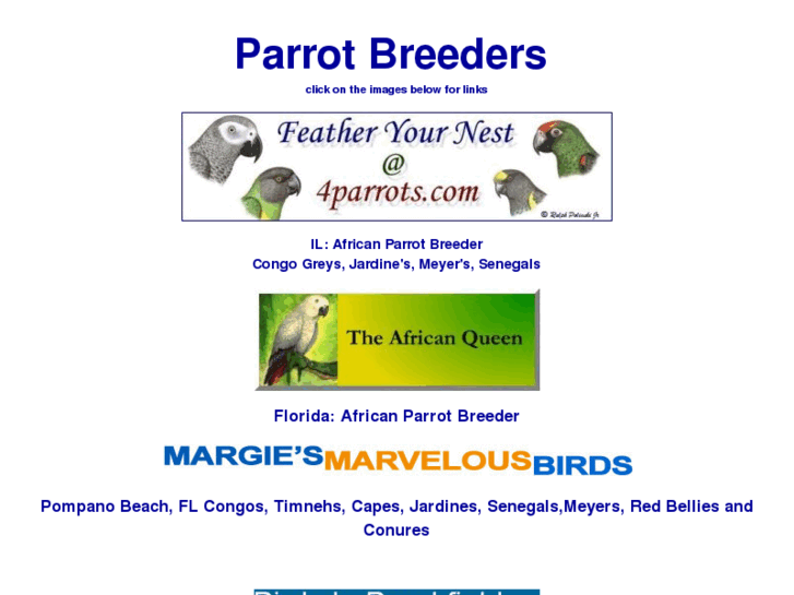 www.4parrots.com