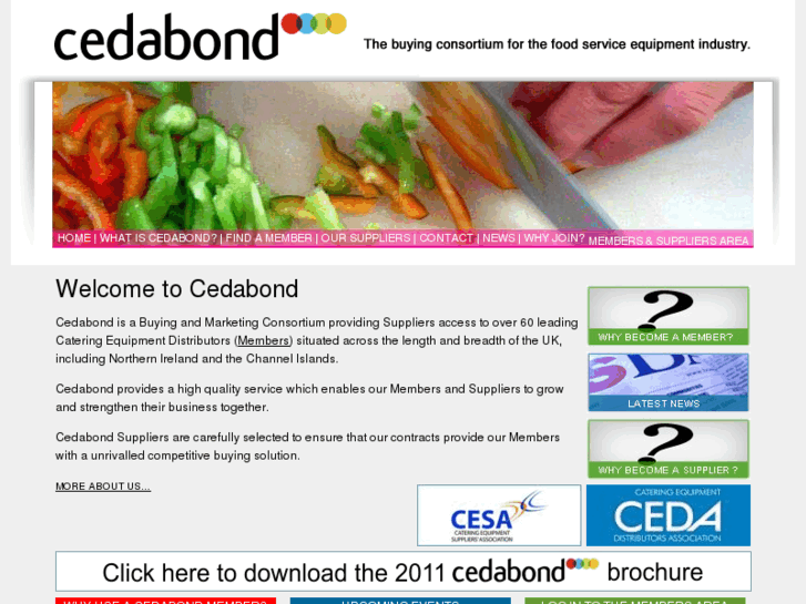 www.cedabond.co.uk
