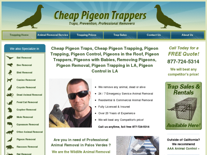 www.cheappigeontraps.com