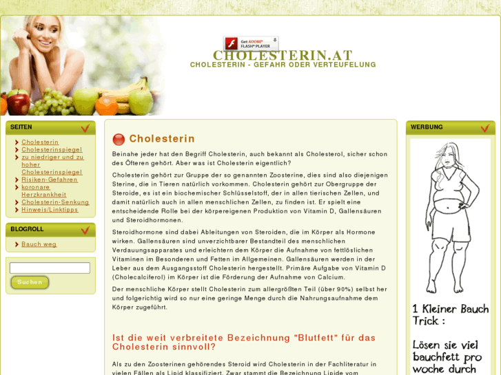 www.cholesterin.at