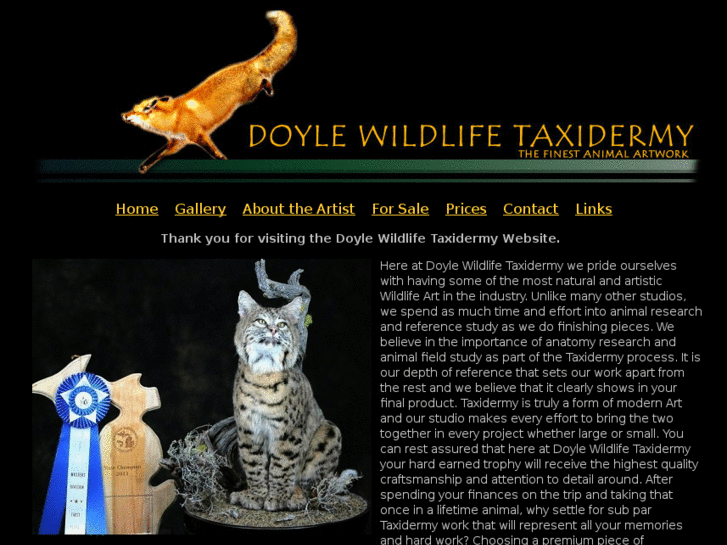 www.doylewildlifetaxidermy.com