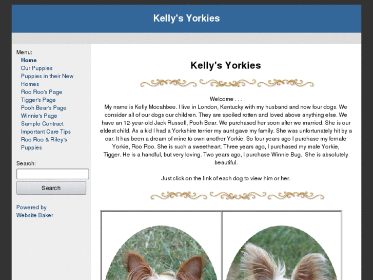 www.kellysyorkies.com