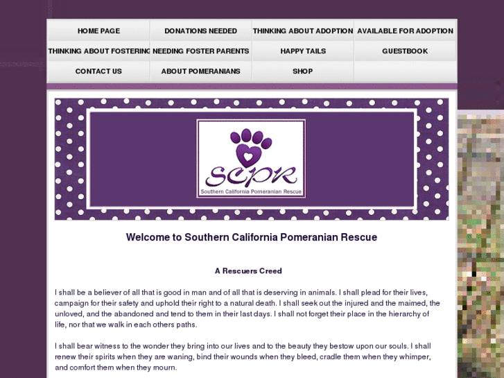 www.southerncaliforniapomeranianrescue.com