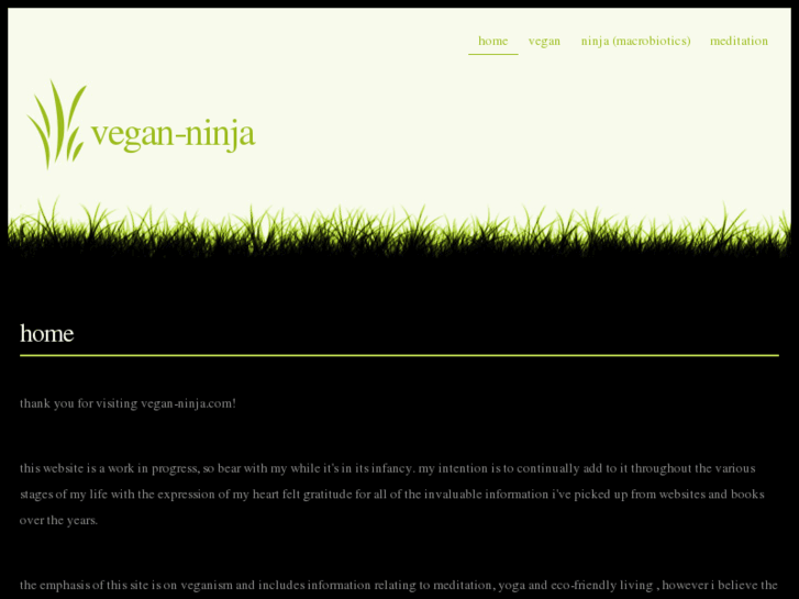 www.vegan-ninja.com