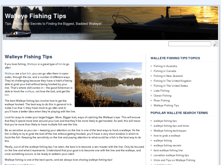 www.walleyefishingtips.net