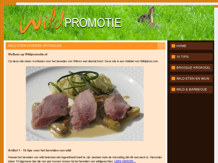 www.wildpromotie.nl