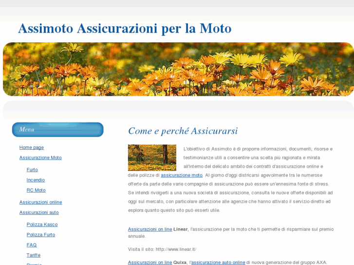 www.assimoto.net