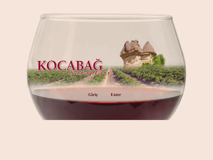 www.kocabag.com