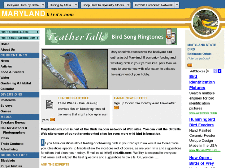 www.marylandbirds.com