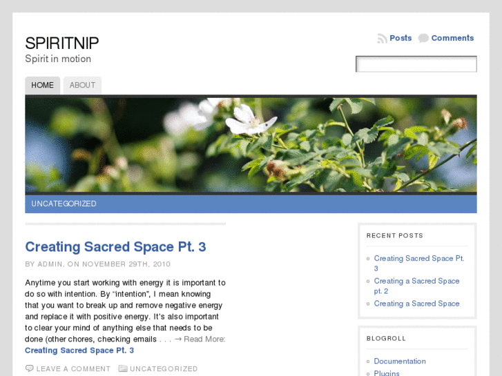 www.spiritnip.com