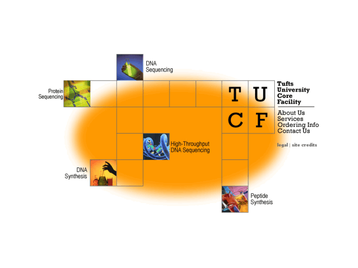 www.tucf.com