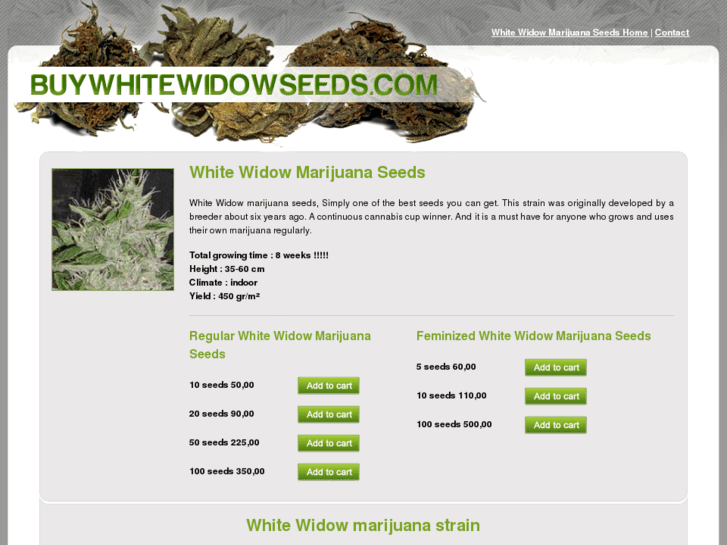 www.buywhitewidowseeds.com