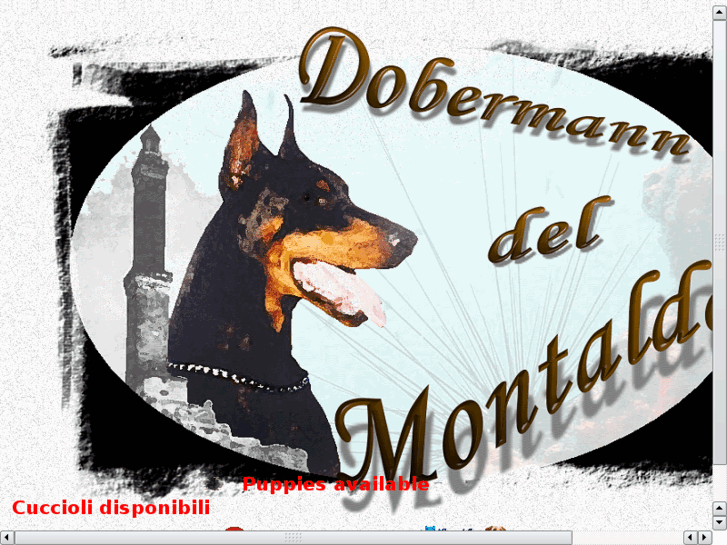 www.dobermanndelmontaldo.com