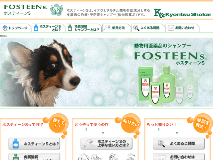 www.fosteen.com