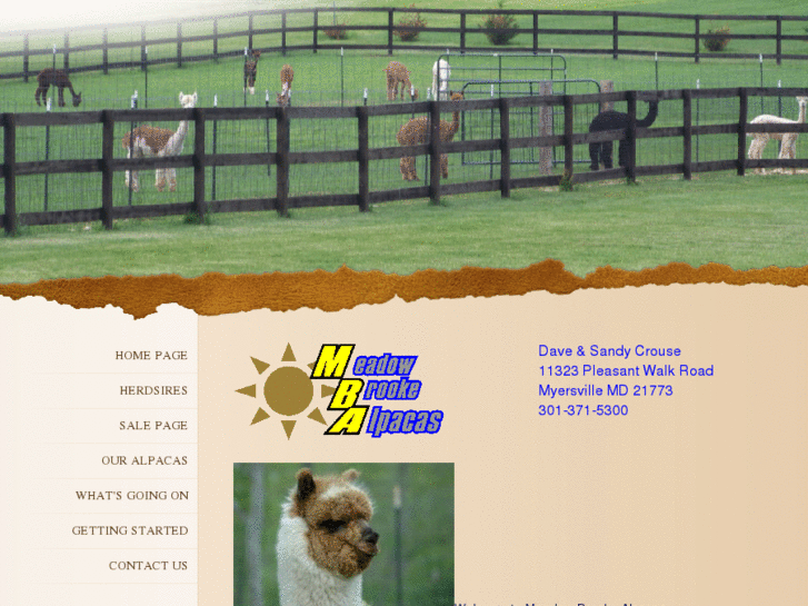 www.meadowbrookealpacas.com