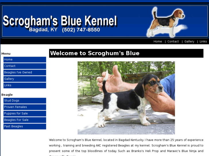 www.scroghamsbluekennel.com