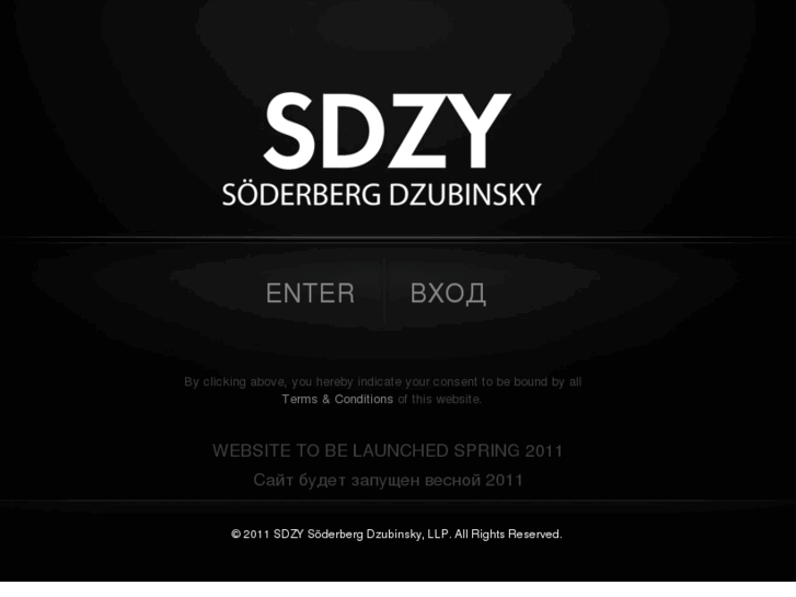 www.sdzyart.com