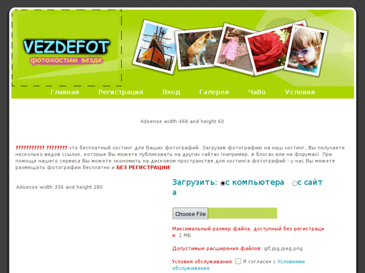 www.vezdefot.com