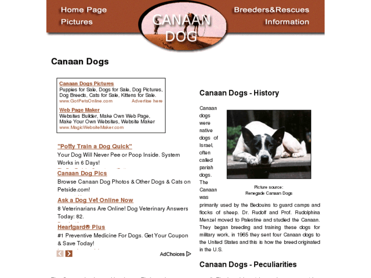 www.canaan-dogs.com