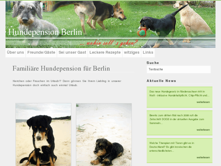 www.hundepension-berlin.de