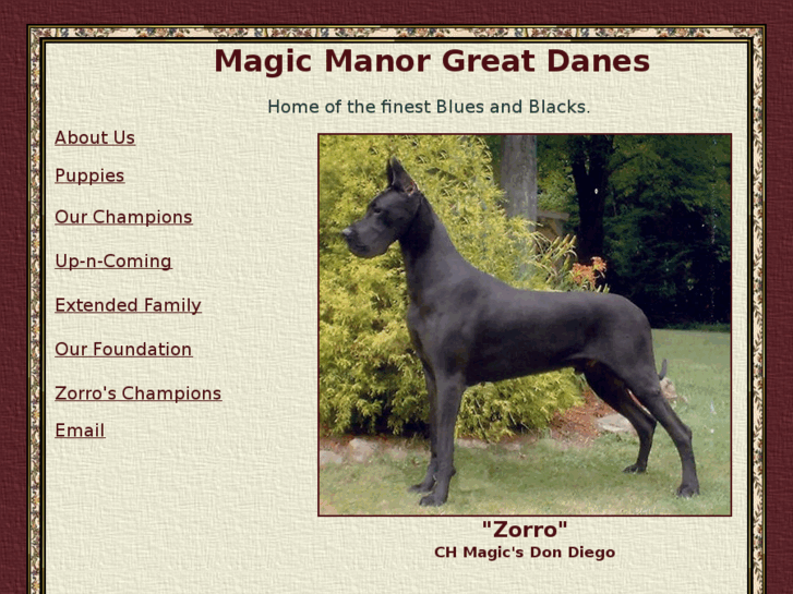 www.magicmanordanes.com