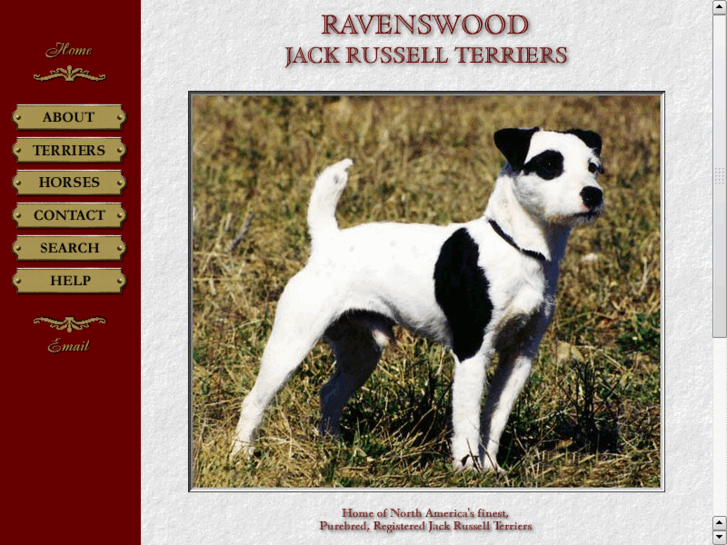 www.ravenswood-kennel.com