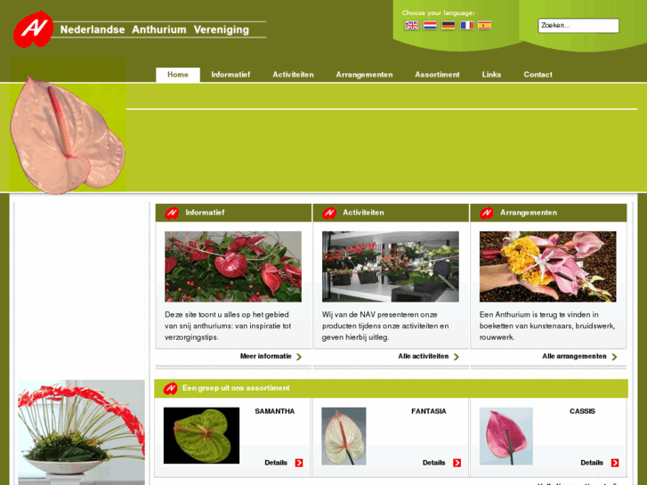 www.anthurium.info