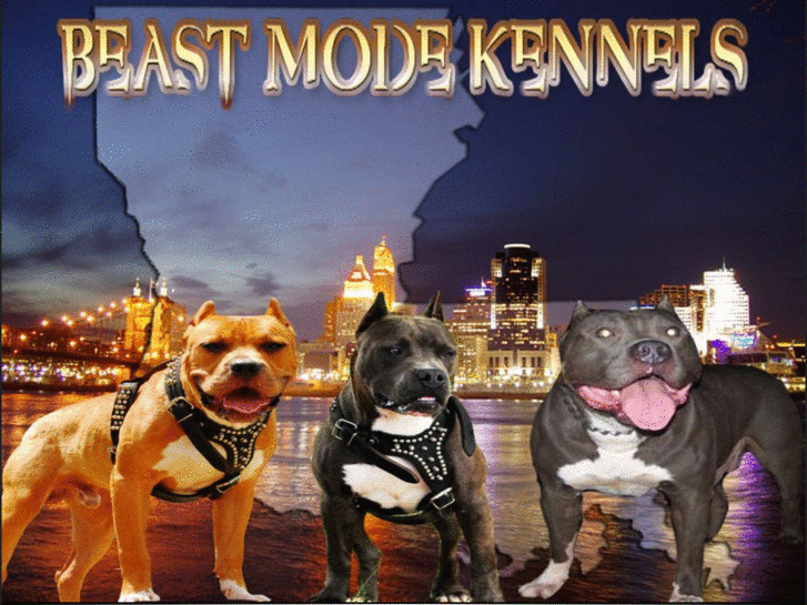 www.beastmodekennels.com